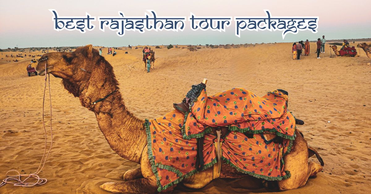 Rajasthan Tour Packages