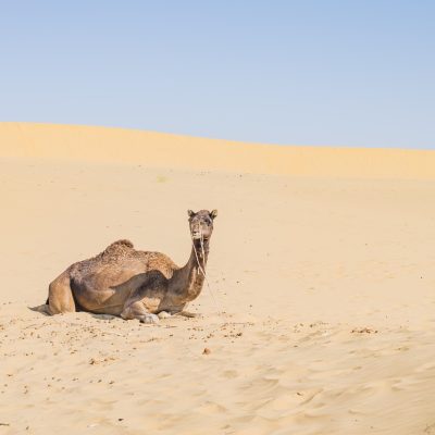 jaisalmer-7473623_1280